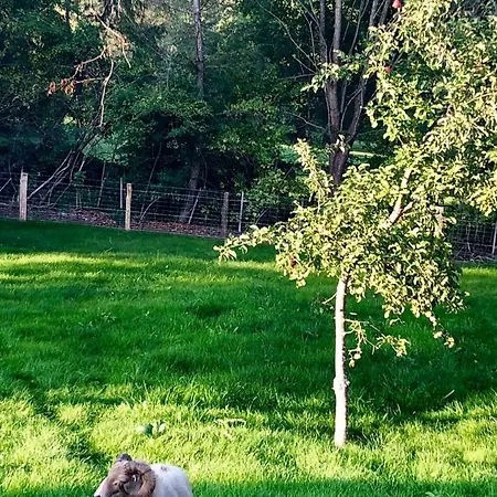 Ferme Belle Rose Haute Bodeux Prázdninový dům *